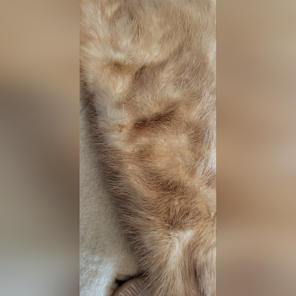 Vintage 40s Oriental by J.J. O'Donnell Beige Cashmere Swing Coat with Fur Collar - Picture 7 of 16